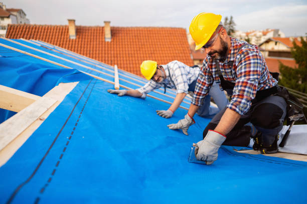 Best Sheet Metal Roofing  in Dahlone, GA